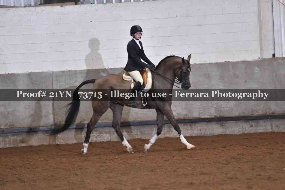 Proof Number 21YN_73715