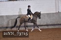 21YN_73715 thumbnail