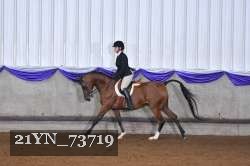 21YN_73719 thumbnail