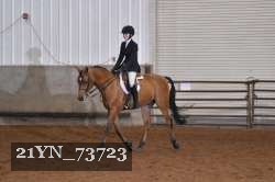 21YN_73723 thumbnail