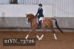 21YN_73726 thumbnail
