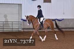 21YN_73727 thumbnail
