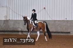 21YN_73729 thumbnail