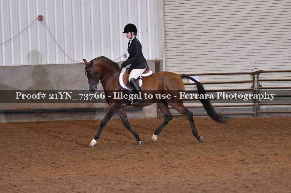 Proof Number 21YN_73766