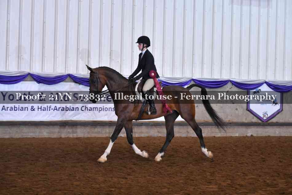 Proof Number 21YN_73832