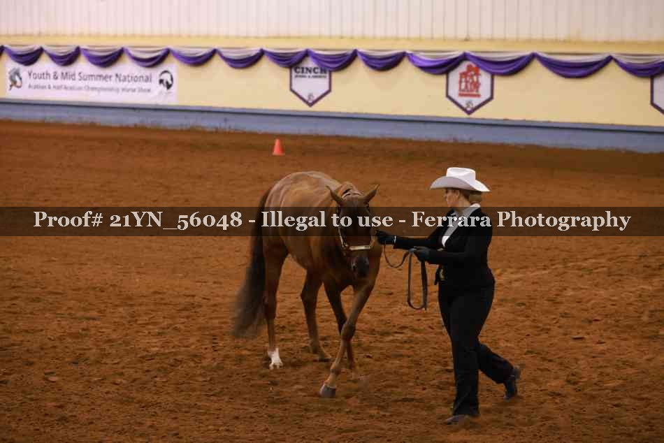 Proof Number 21YN_56048
