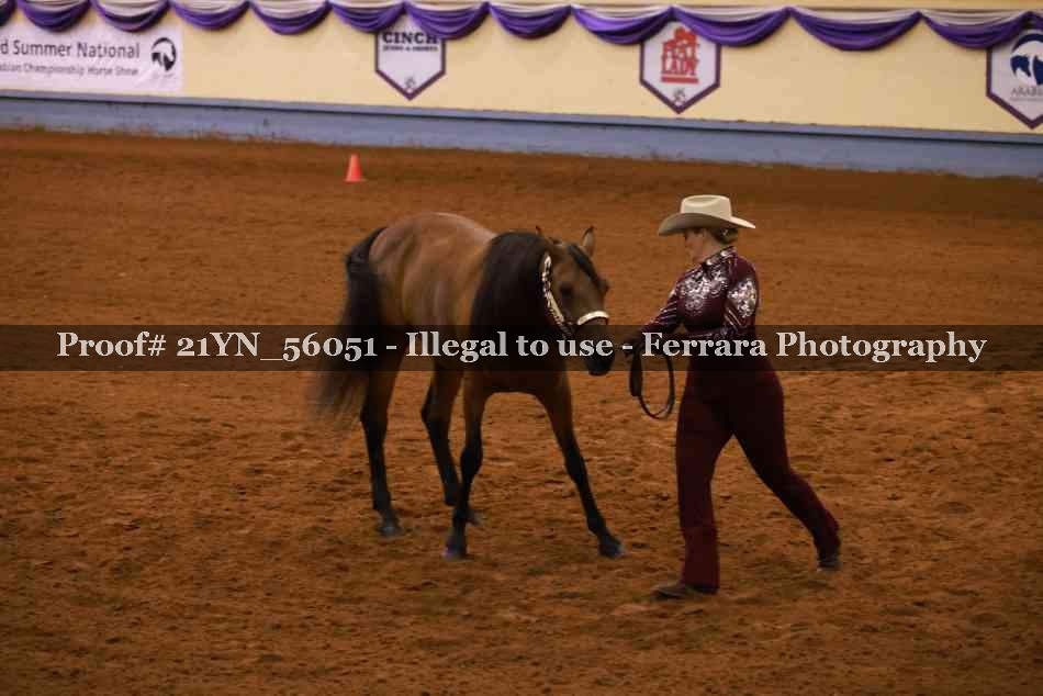 Proof Number 21YN_56051