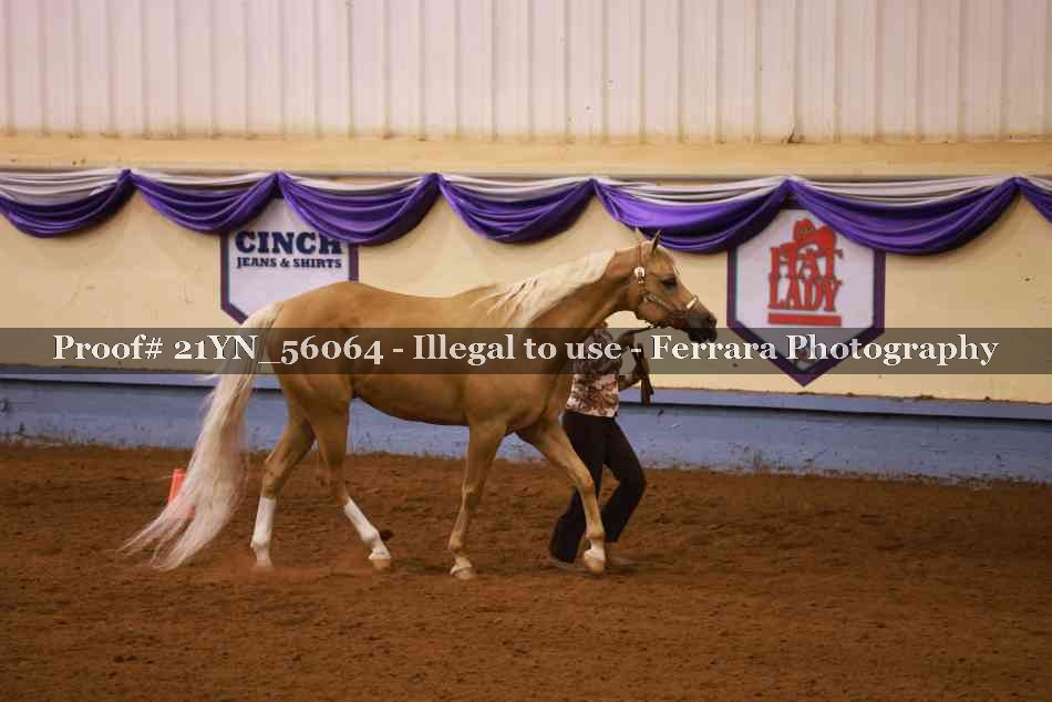 Proof Number 21YN_56064
