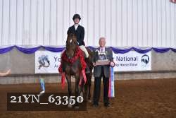 21YN_63350 thumbnail