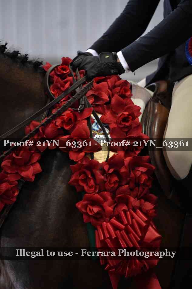 Proof Number 21YN_63361