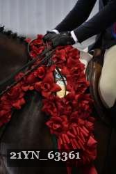 21YN_63361 thumbnail