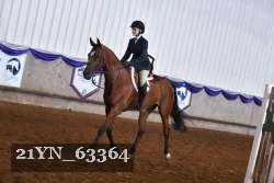 21YN_63364 thumbnail