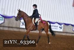 21YN_63366 thumbnail