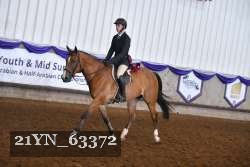 21YN_63372 thumbnail