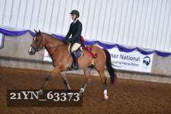 21YN_63373 thumbnail