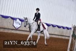 21YN_63374 thumbnail