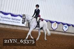 21YN_63375 thumbnail