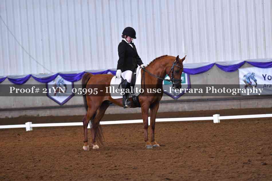 Proof Number 21YN_05995