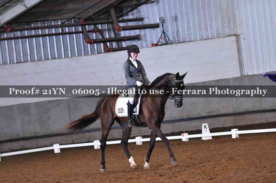 Proof Number 21YN_06005