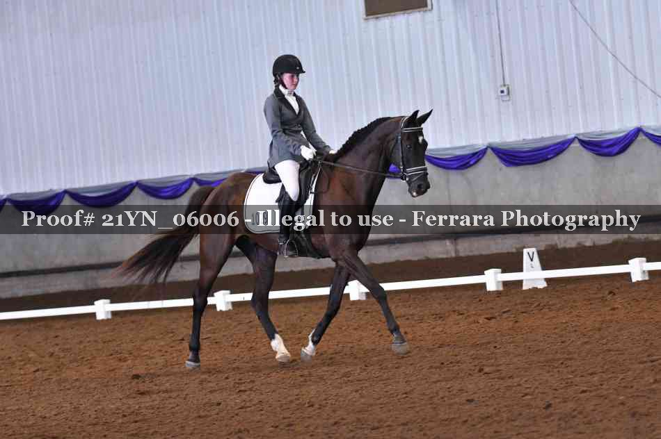 Proof Number 21YN_06006