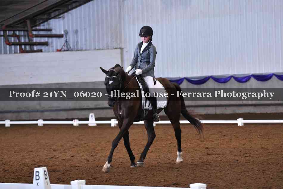 Proof Number 21YN_06020