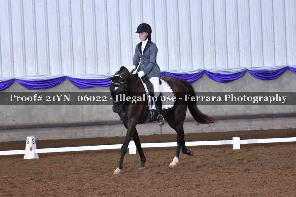 Proof Number 21YN_06022