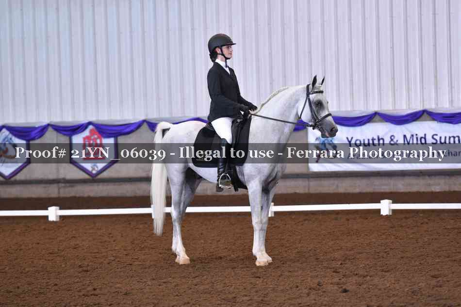 Proof Number 21YN_06039