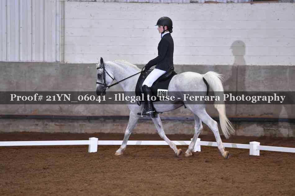 Proof Number 21YN_06041