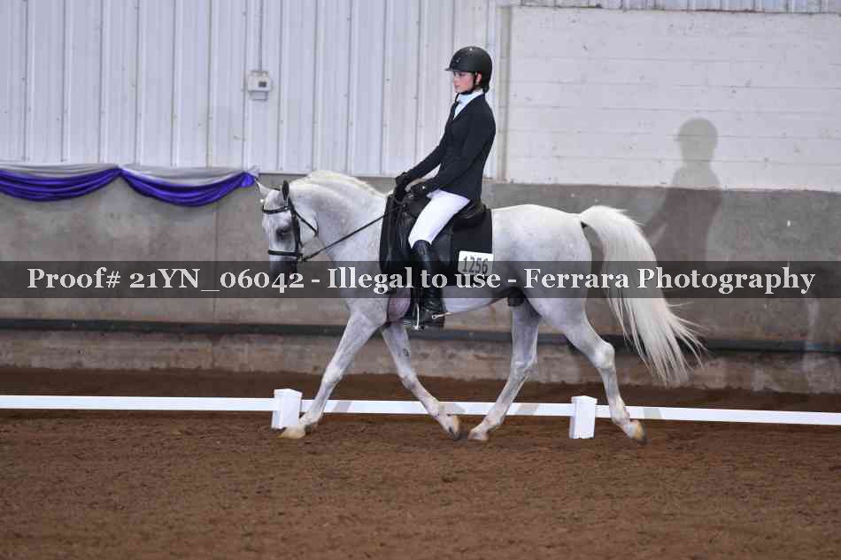 Proof Number 21YN_06042