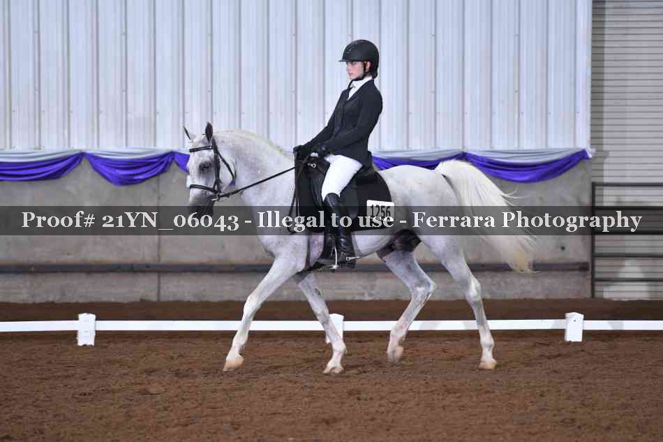 Proof Number 21YN_06043