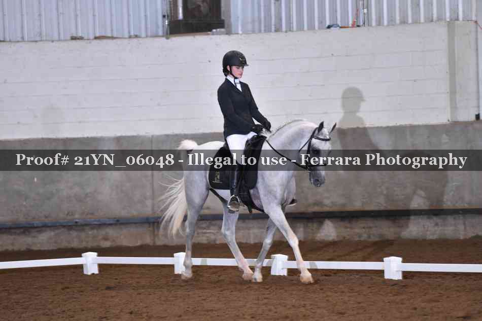 Proof Number 21YN_06048