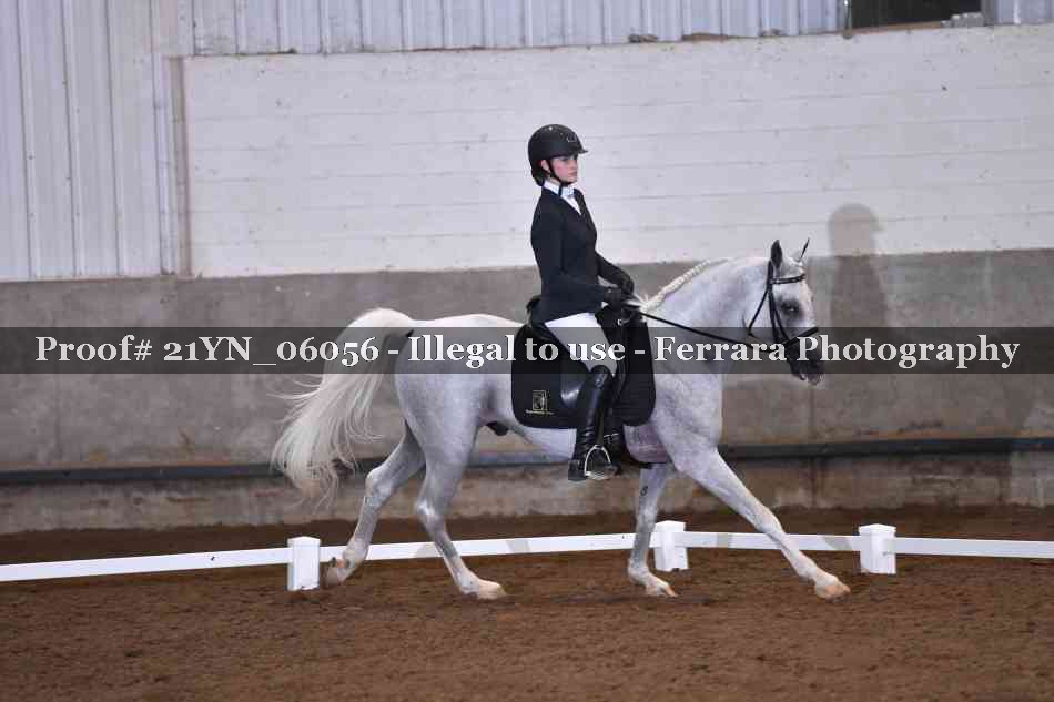 Proof Number 21YN_06056