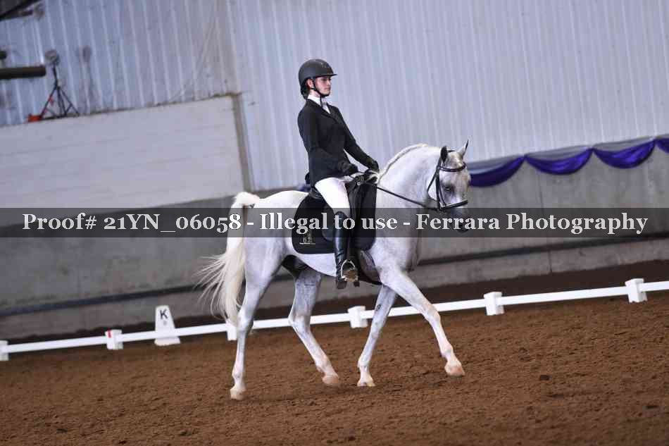 Proof Number 21YN_06058