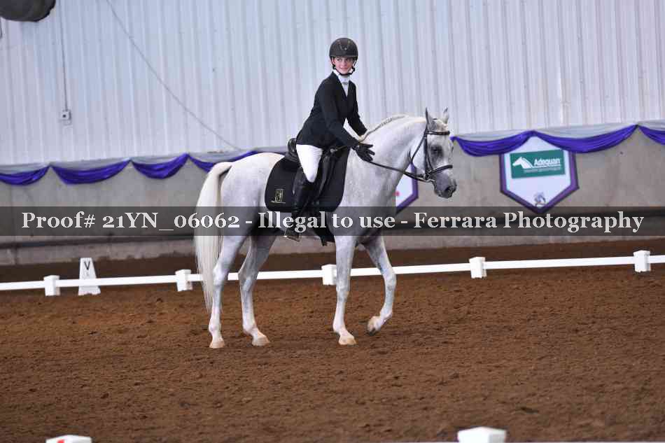 Proof Number 21YN_06062