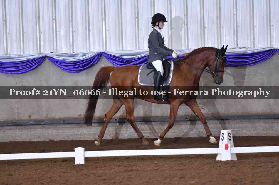Proof Number 21YN_06066
