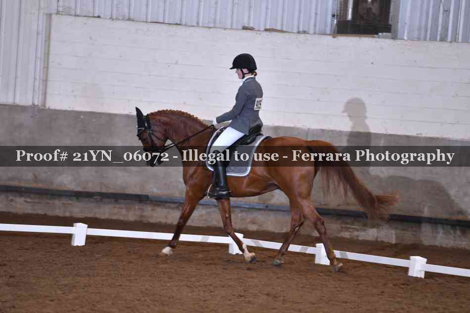 Proof Number 21YN_06072