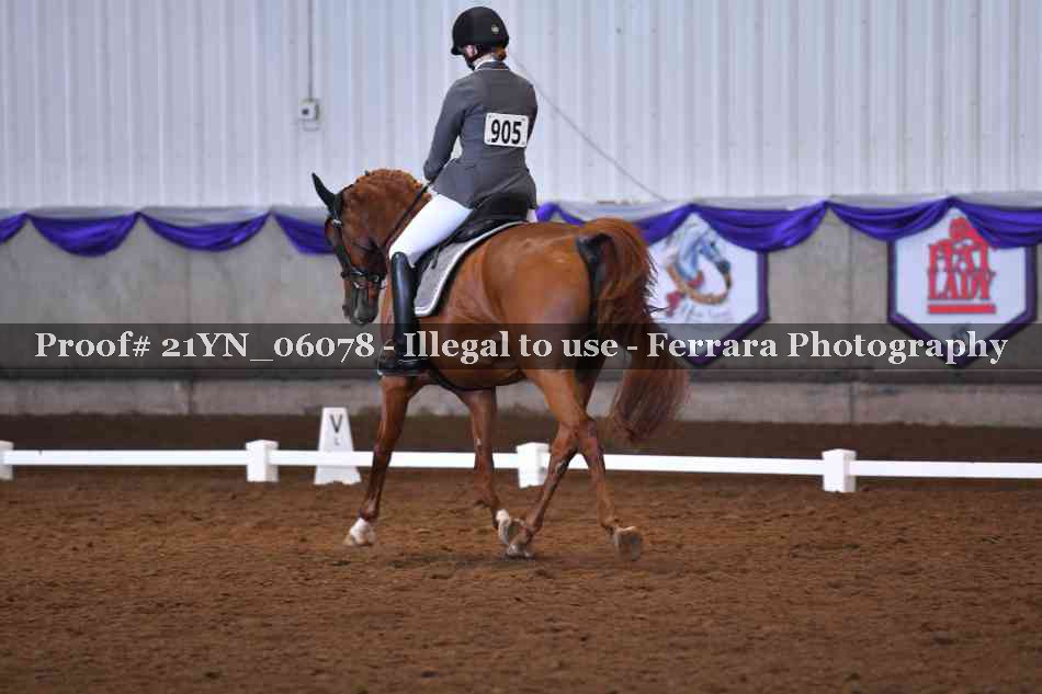 Proof Number 21YN_06078