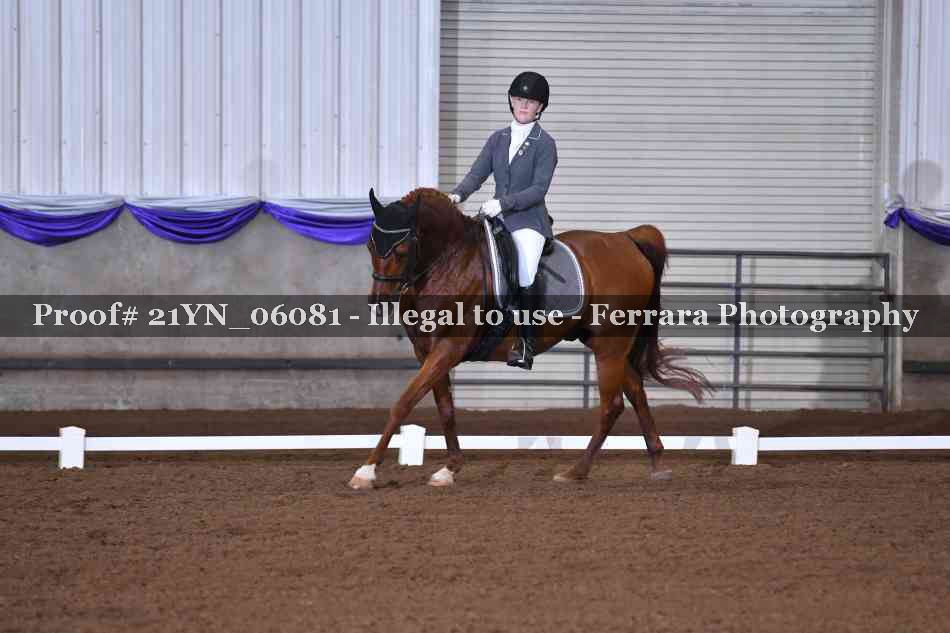 Proof Number 21YN_06081