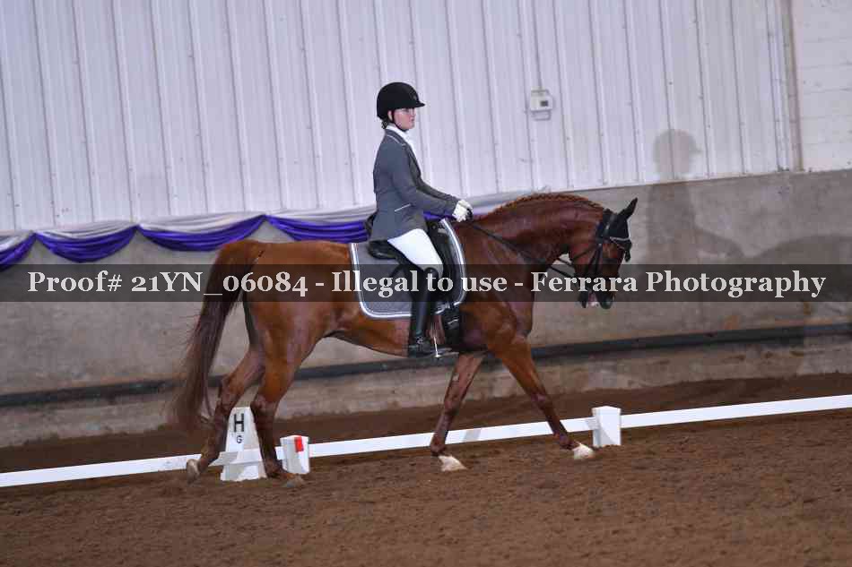 Proof Number 21YN_06084