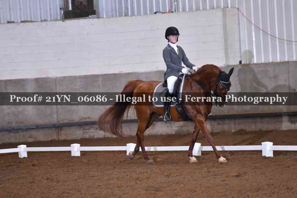 Proof Number 21YN_06086