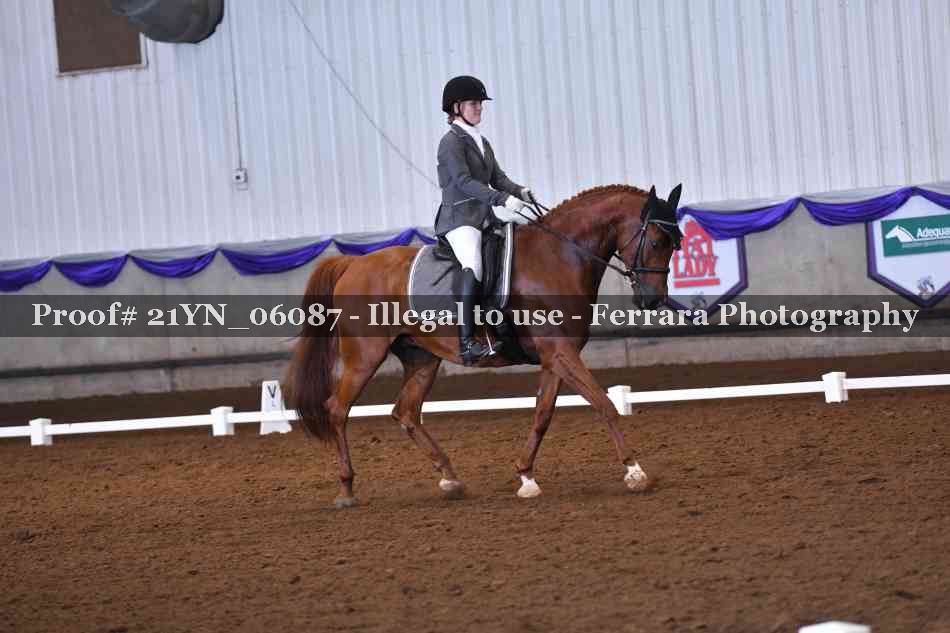 Proof Number 21YN_06087