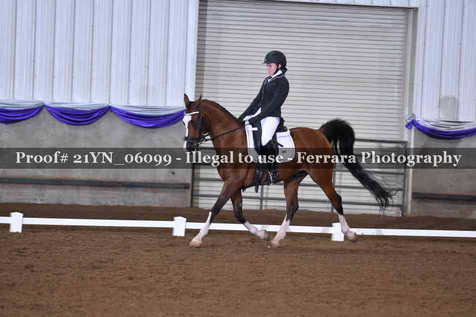 Proof Number 21YN_06099