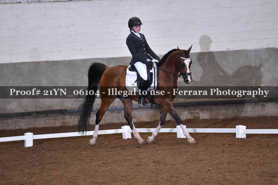 Proof Number 21YN_06104