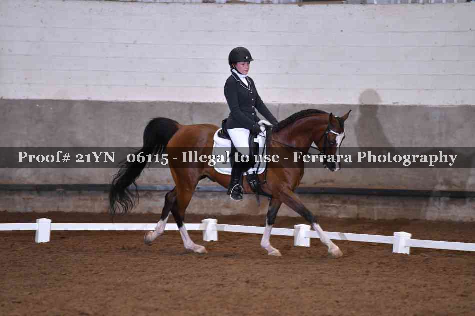 Proof Number 21YN_06115