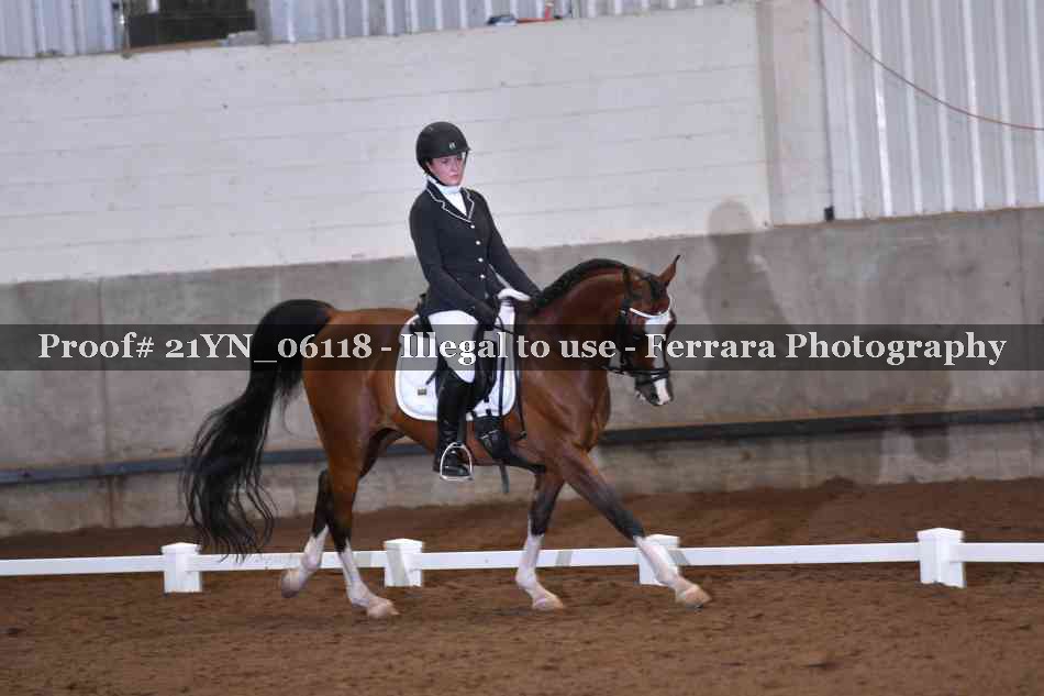 Proof Number 21YN_06118