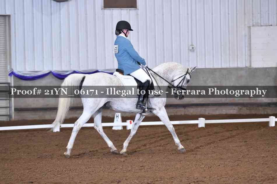 Proof Number 21YN_06171