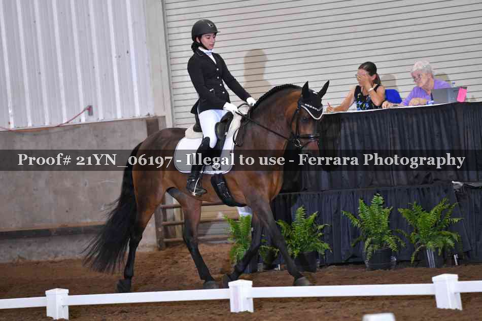 Proof Number 21YN_06197