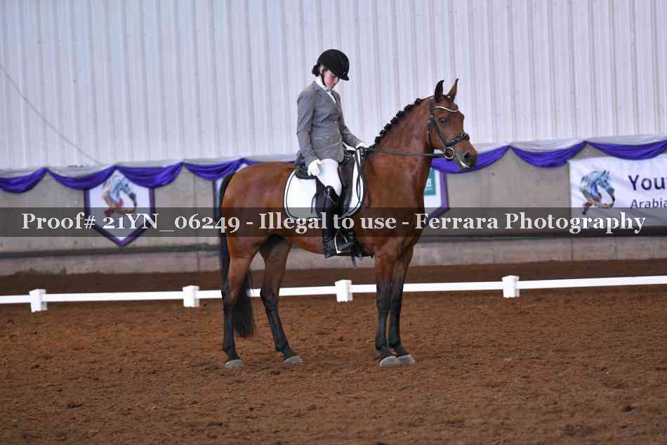 Proof Number 21YN_06249