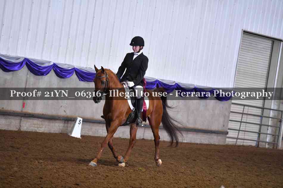 Proof Number 21YN_06316