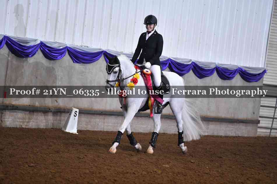 Proof Number 21YN_06335